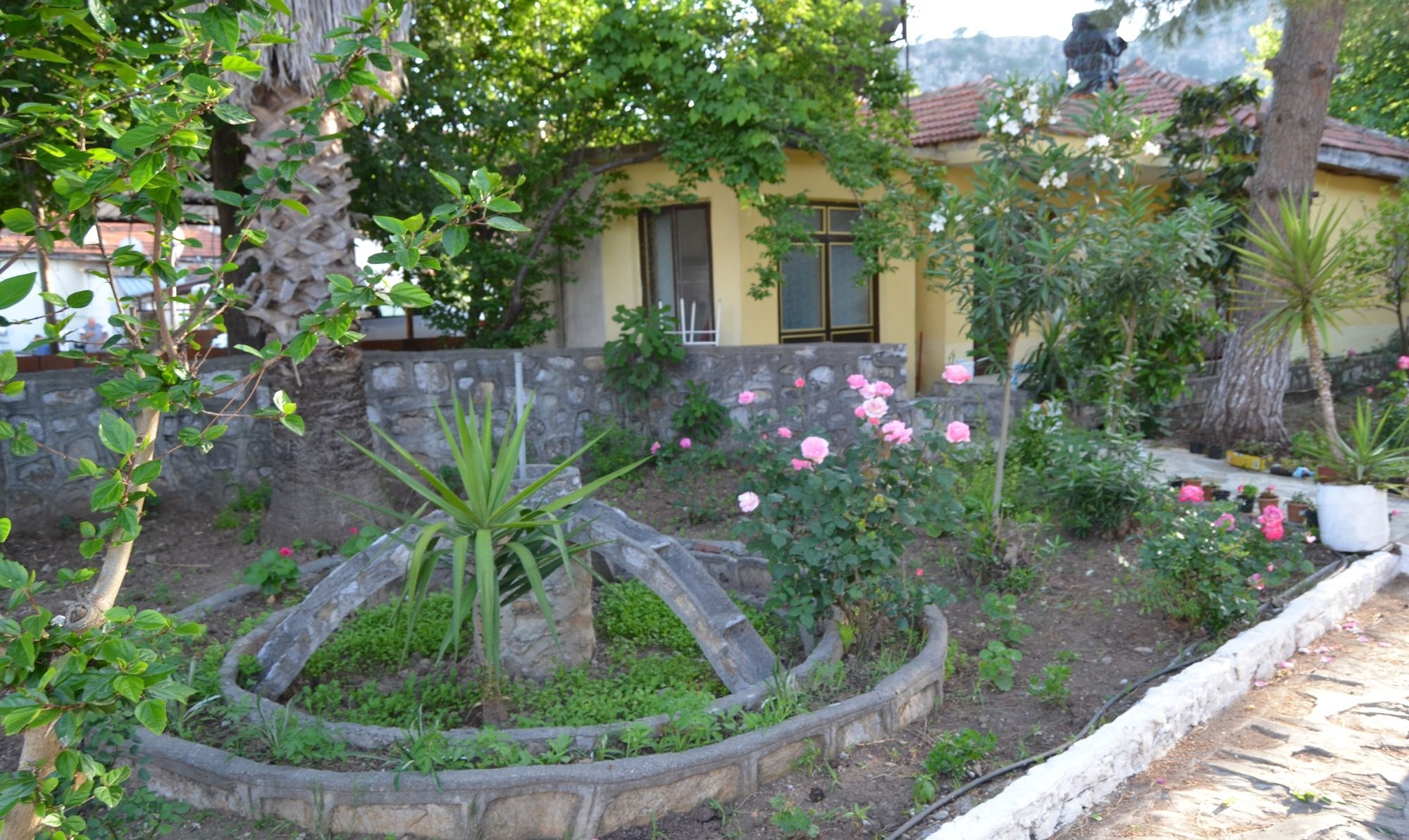 Dalyan Patio Hotel エクステリア 写真