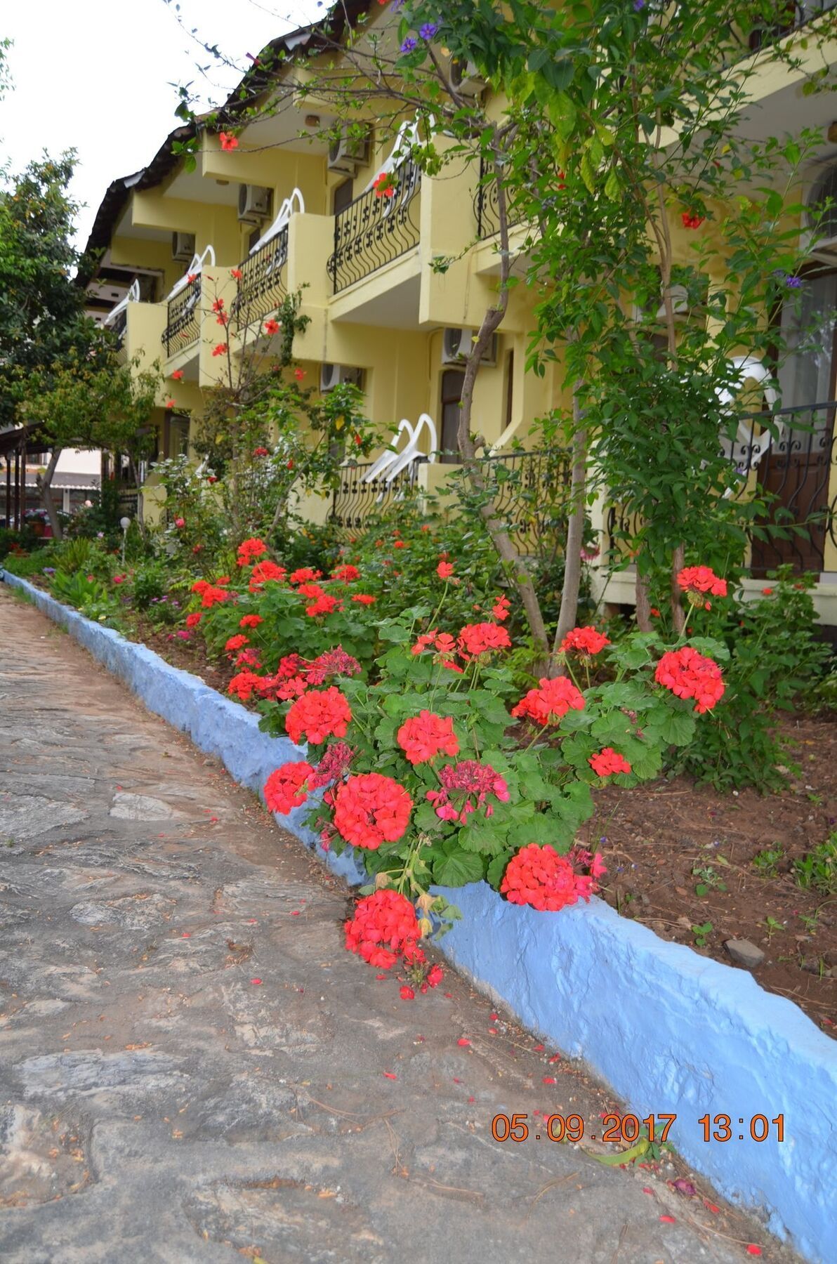 Dalyan Patio Hotel エクステリア 写真