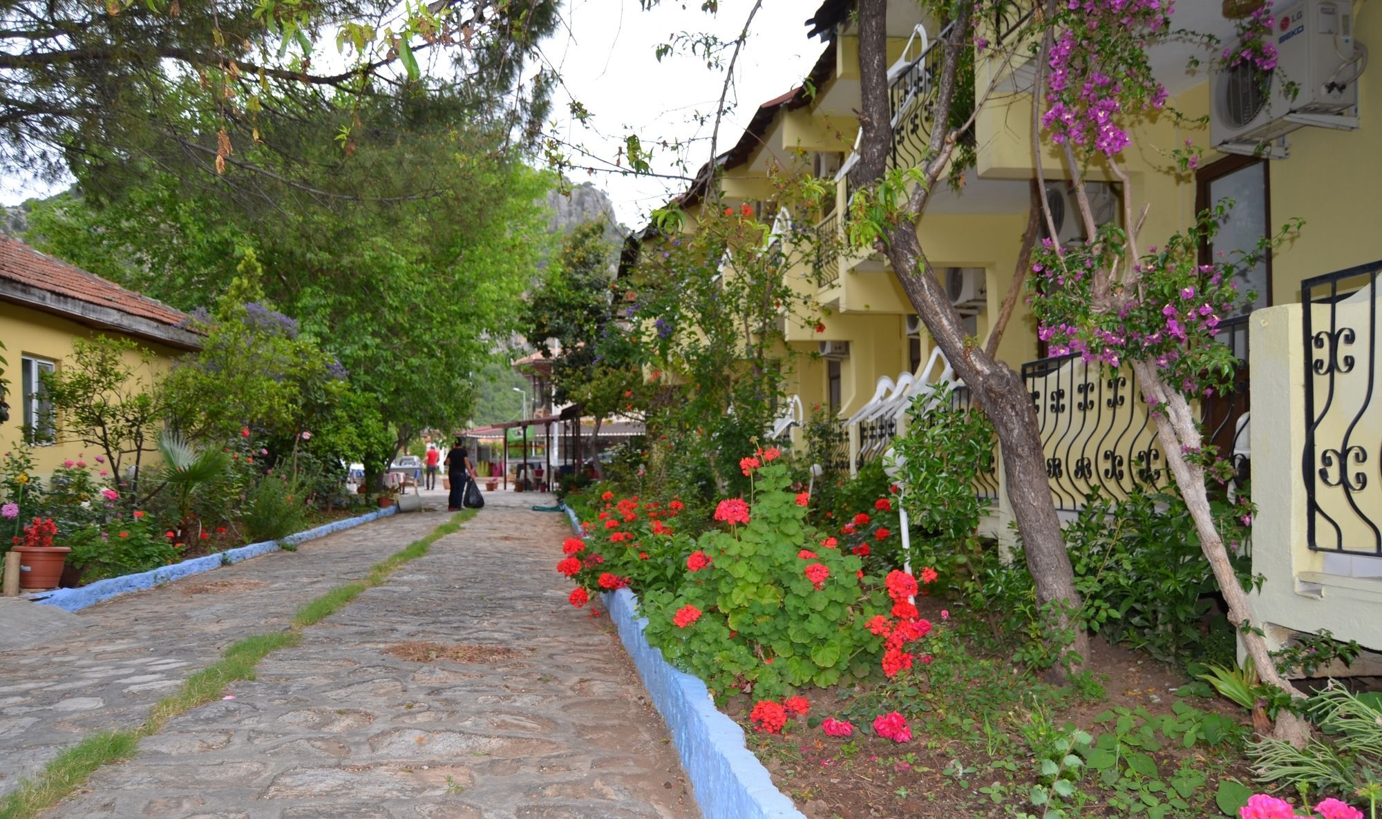 Dalyan Patio Hotel エクステリア 写真